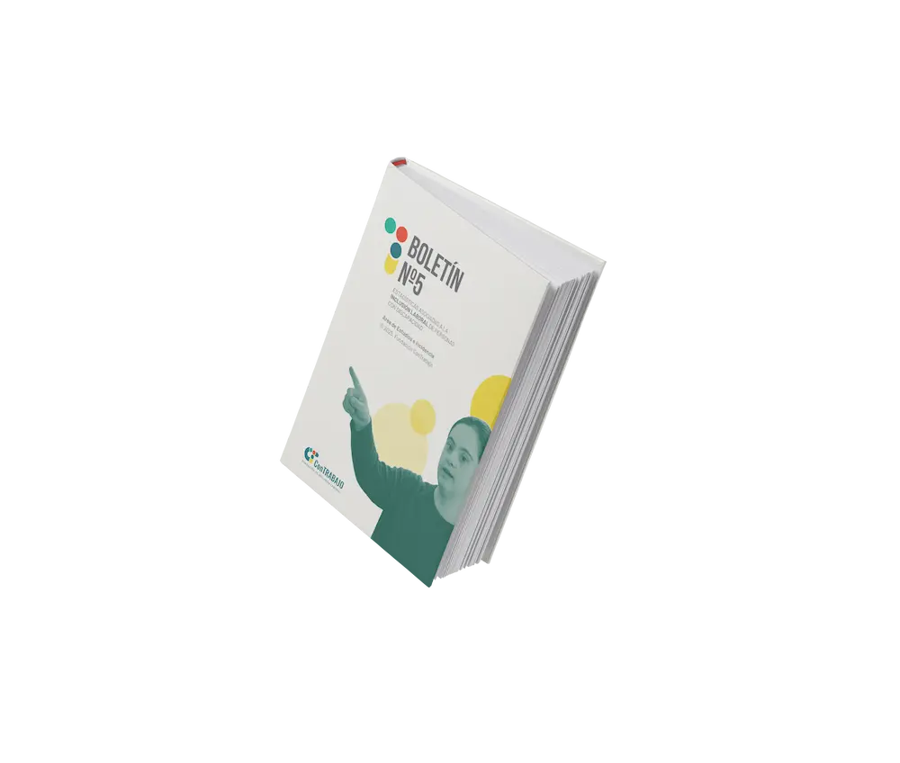 Boletín de estadísticas N°5. Inclusión laboral de personas con discapacida